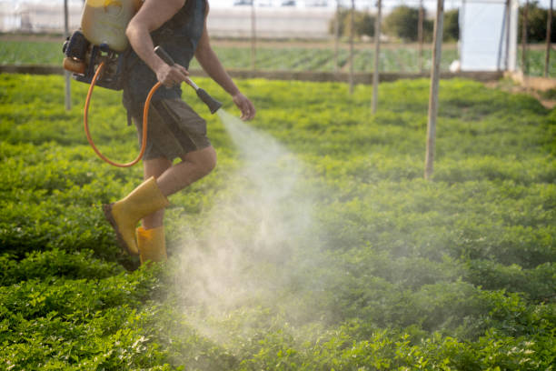 Best Pest Control Near Me  in Stafford, TX