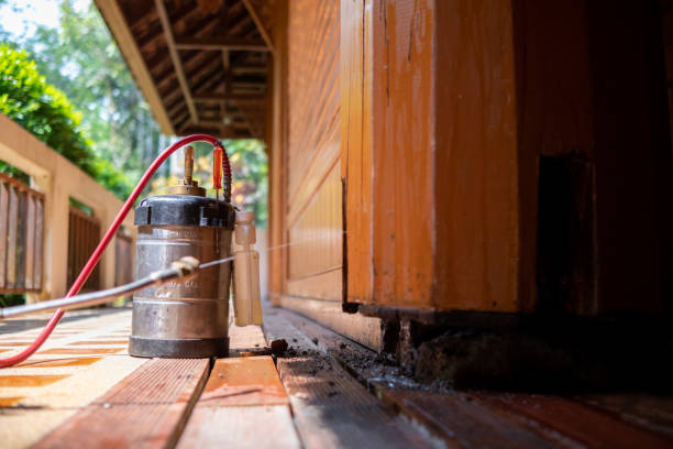 Best Cockroach Control Services  in Stafford, TX