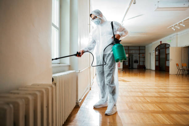 Insect Control in Stafford, TX