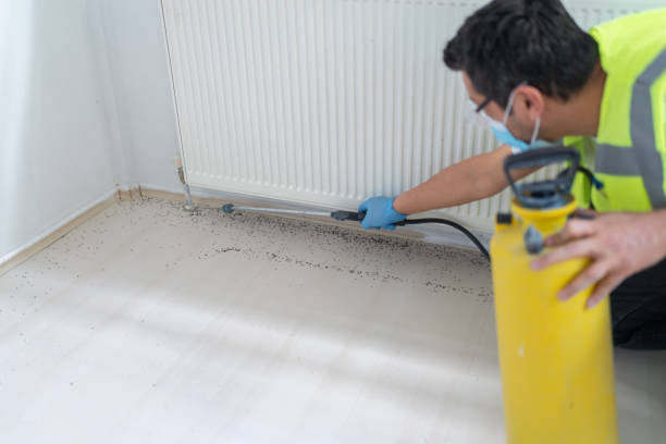 Reliable Stafford, TX Pest Control Solutions