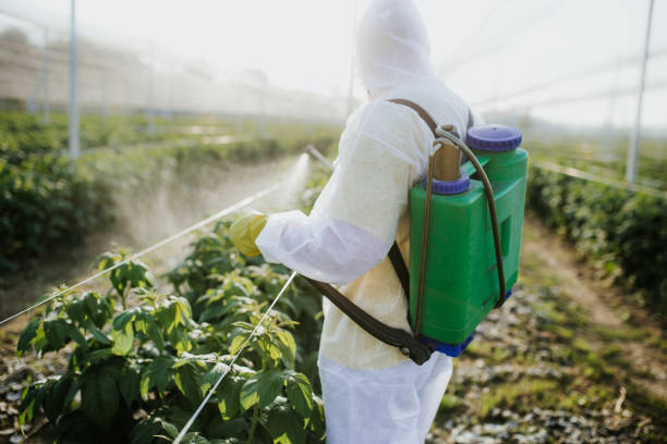 Best Pest Control Cost  in Stafford, TX